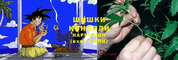 ГАЛЛЮЦИНОГЕННЫЕ ГРИБЫ Волосово