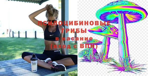 соль ск Вяземский