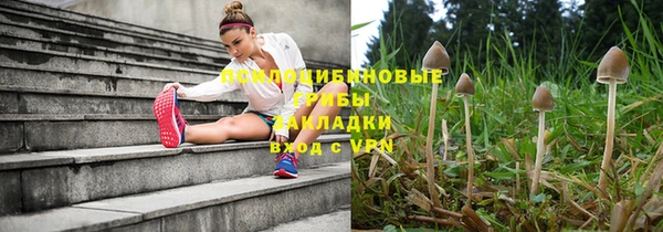 прущие крисы Вязники