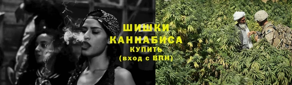 соль ск Вяземский
