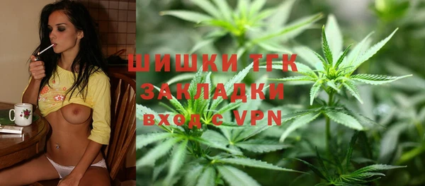 соль ск Вяземский