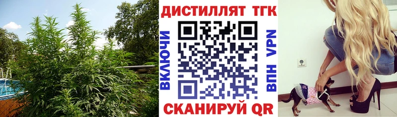 Дистиллят ТГК жижа  Купить где  Великие Луки 
