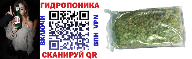 Купить где Великие Луки Шишки марихуана SATIVA & INDICA